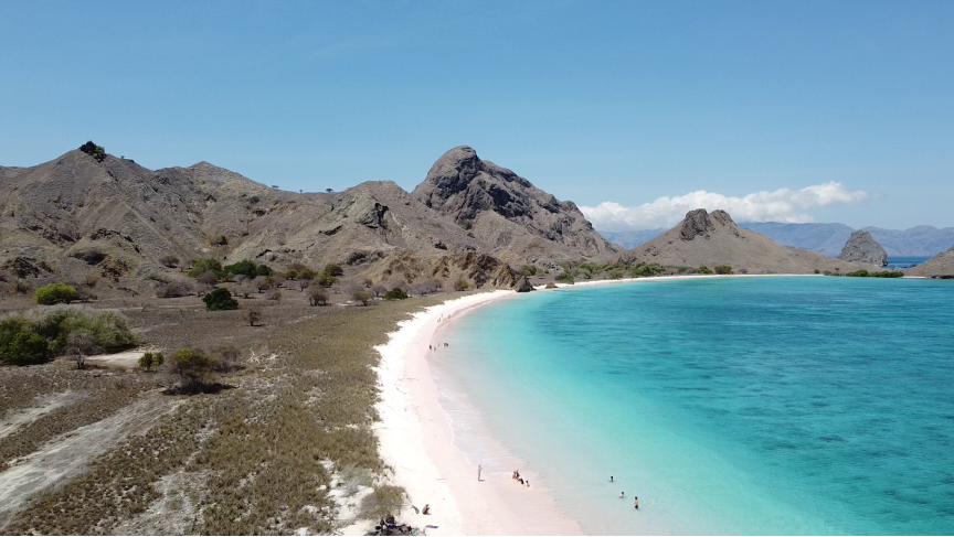komodo-pink-beach