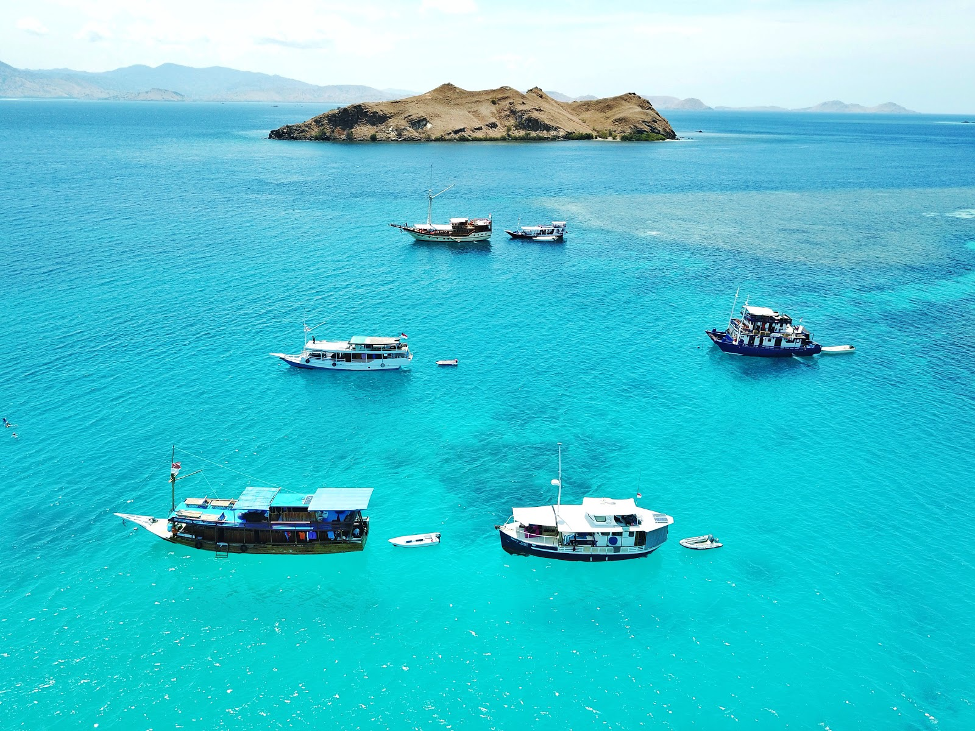 sea-komodo